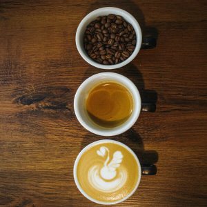 INTRODUCTORY BUNDLE OFFER